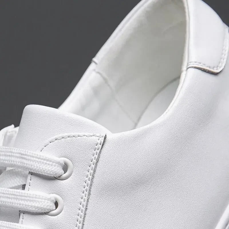 Stanley – Zapatillas Clásicas
